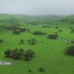 برنامج درس على الهواء – مادة اللغة الإنجليزية